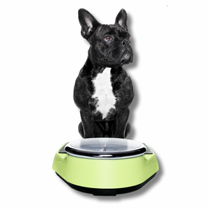 Gewichtsmanagement leicht gemacht