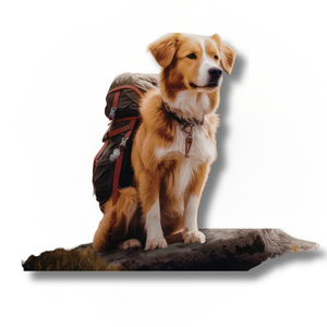 Wandern mit Hund – Dein Guide für unvergessliche Abenteuer in der Natur