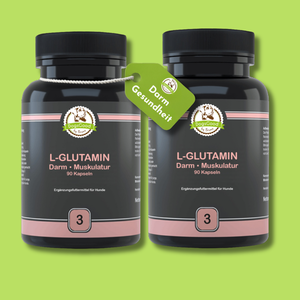 DogsGood ZweierBox L-Glutamin vegan