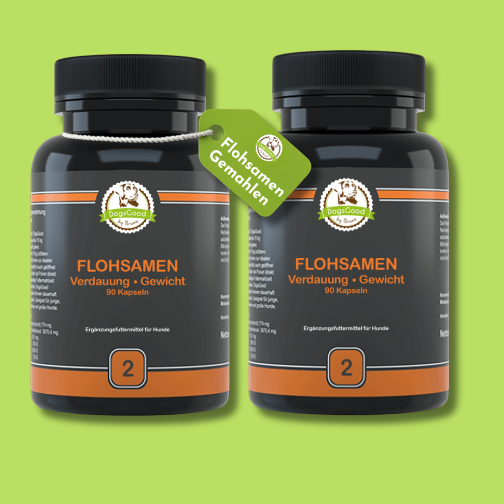 DogsGood ZweierBox Flohsamen