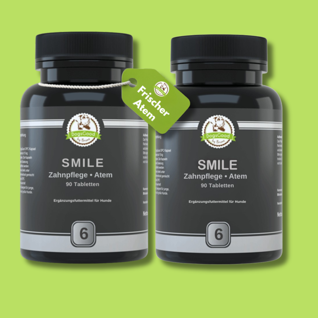 DogsGood ZweierBox Smile