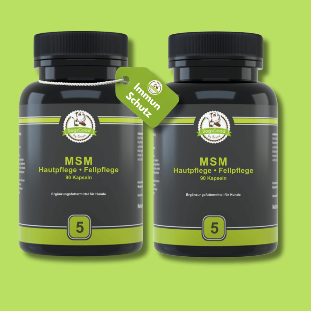 DogsGood ZweierBox MSM vegan