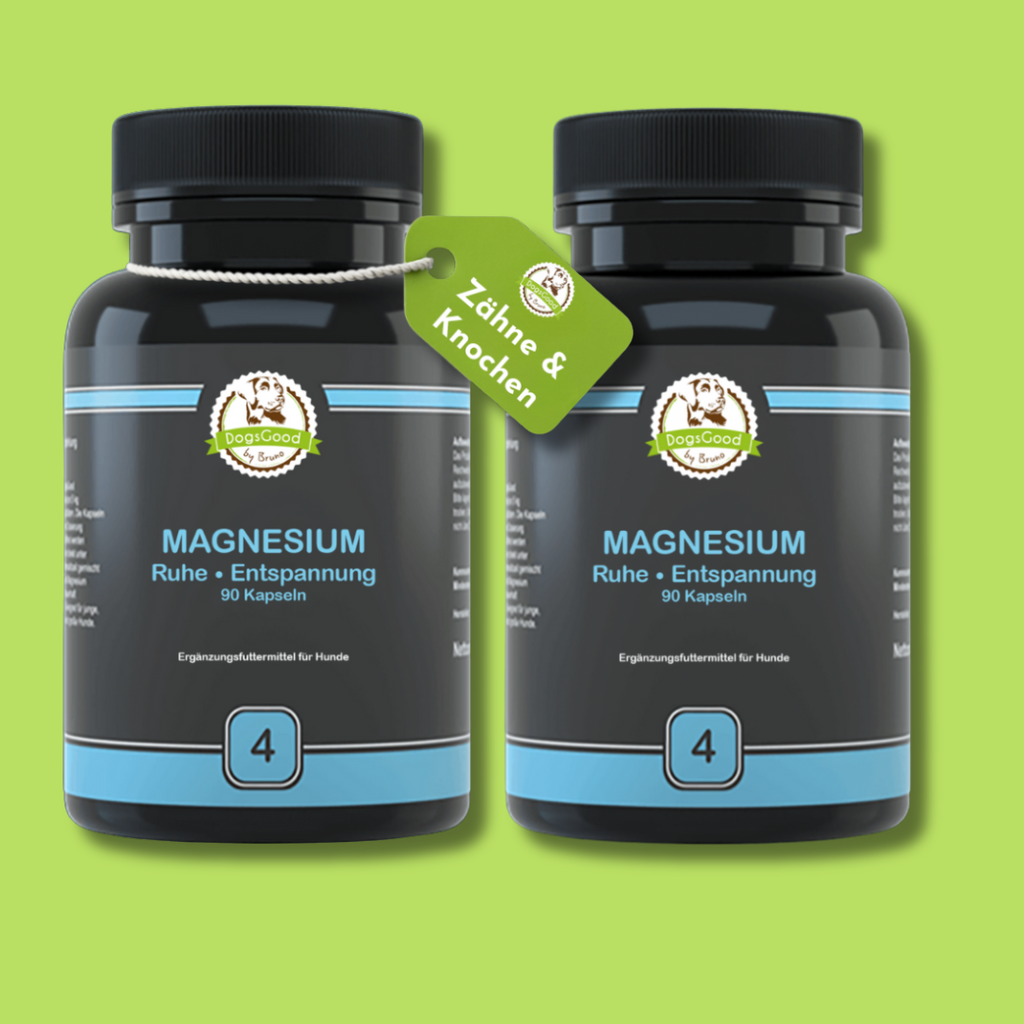 DogsGood ZweierBox Magnesium vegan