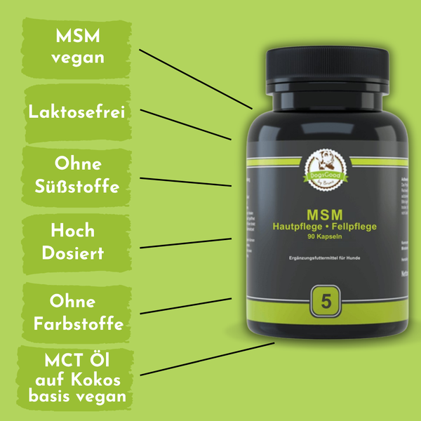 DogsGood ZweierBox MSM vegan