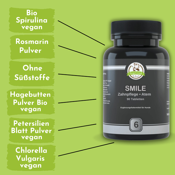 DogsGood ZweierBox Smile