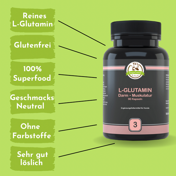 DogsGood ZweierBox L-Glutamin vegan